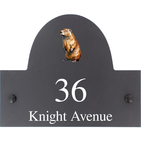 Personalised Beaver Wildlife Animal Motif Slate House Name Or Number Plaque/Sign - 25x20cm