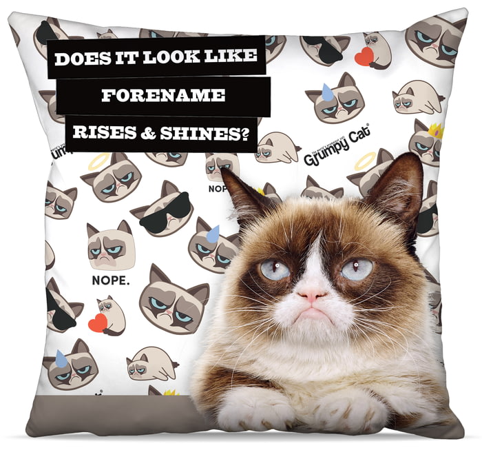 grumpy cat cushion