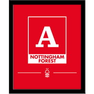 Personalised Nottingham Forest FC Monogram Framed Print